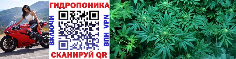 Виды наркотиков купить Абакан Бошки Шишки  МЕФ  COCAIN  НБОМе  Гашиш  А ПВП 