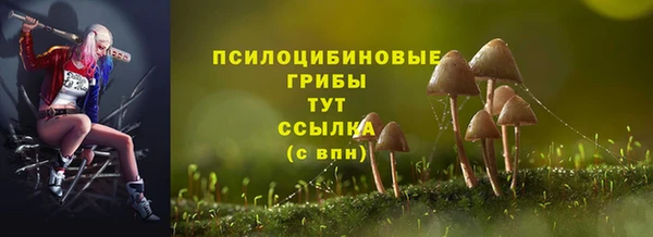 марки nbome Белокуриха