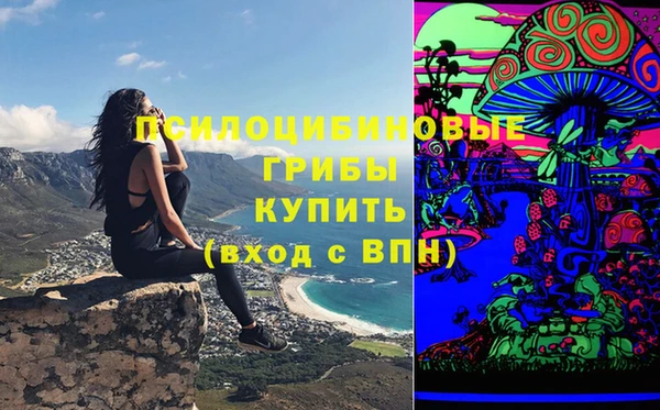 марки nbome Белокуриха