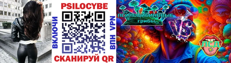 Галлюциногенные грибы Cubensis Абакан