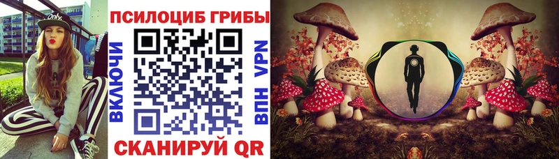 Галлюциногенные грибы Cubensis  купить наркотик  blacksprut ссылка  Абакан 